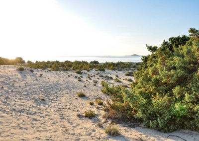 Alyko Villas Common Area 4